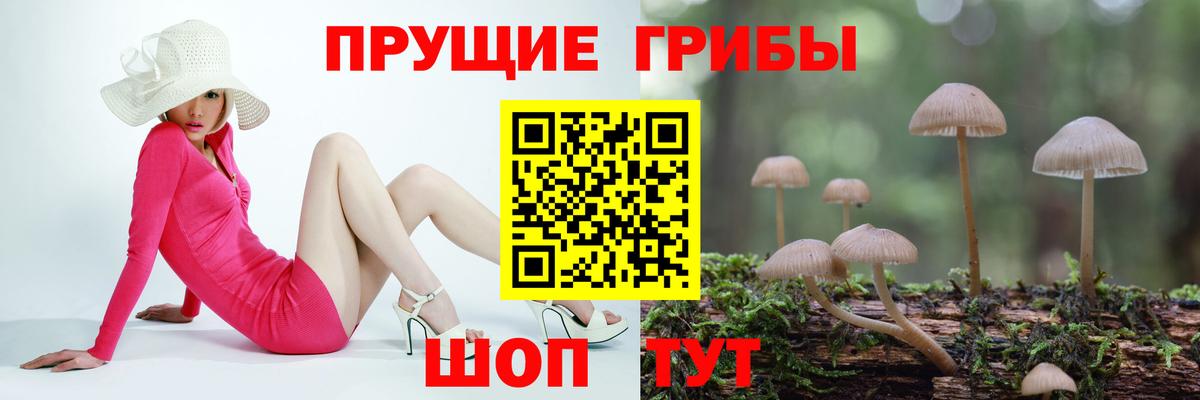 Пятигорск  Галлюциногенные грибы Cubensis  Псилоцибиновые грибы Magic Shrooms  что такое наркотик  Вход с VPN 
